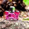 Tendencias en perfumería para el 2025.
